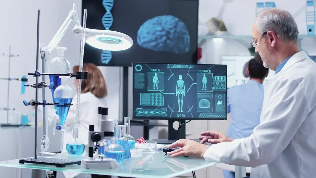 Stock Video Human Diagram On A Computer Screen Animated Wallpaper - Free Download