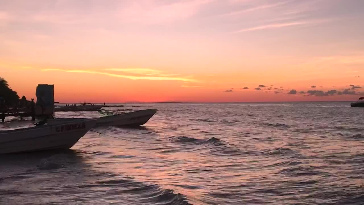 Free Video Stock the sunset near the seashore Live Wallpaper - Free Download