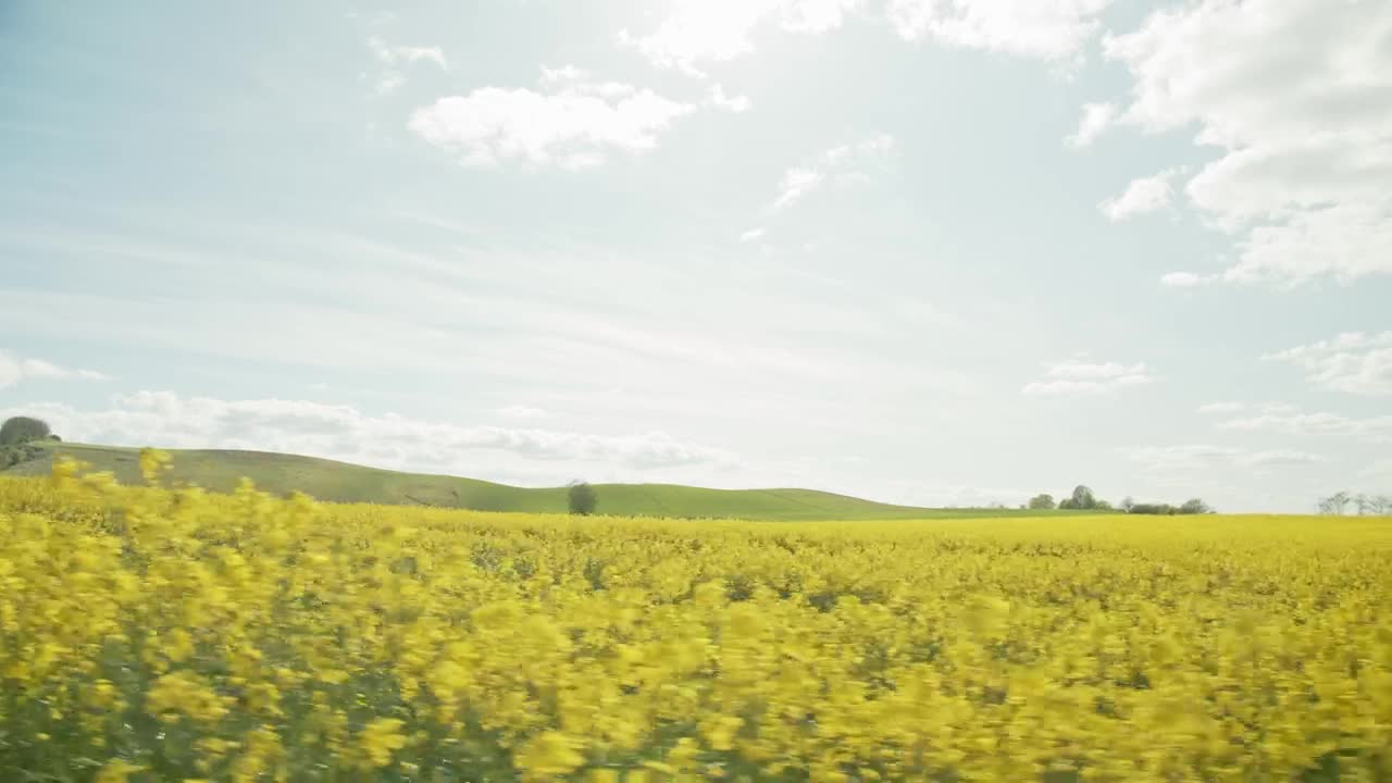 Stock Video Farmers Field In The Summer Live Wallpaper For PC - Free Download