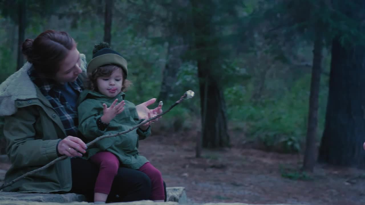 Free Video Stock Small Family Eating Roasted Marshmallows In Nature Live Wallpaper - Free Download