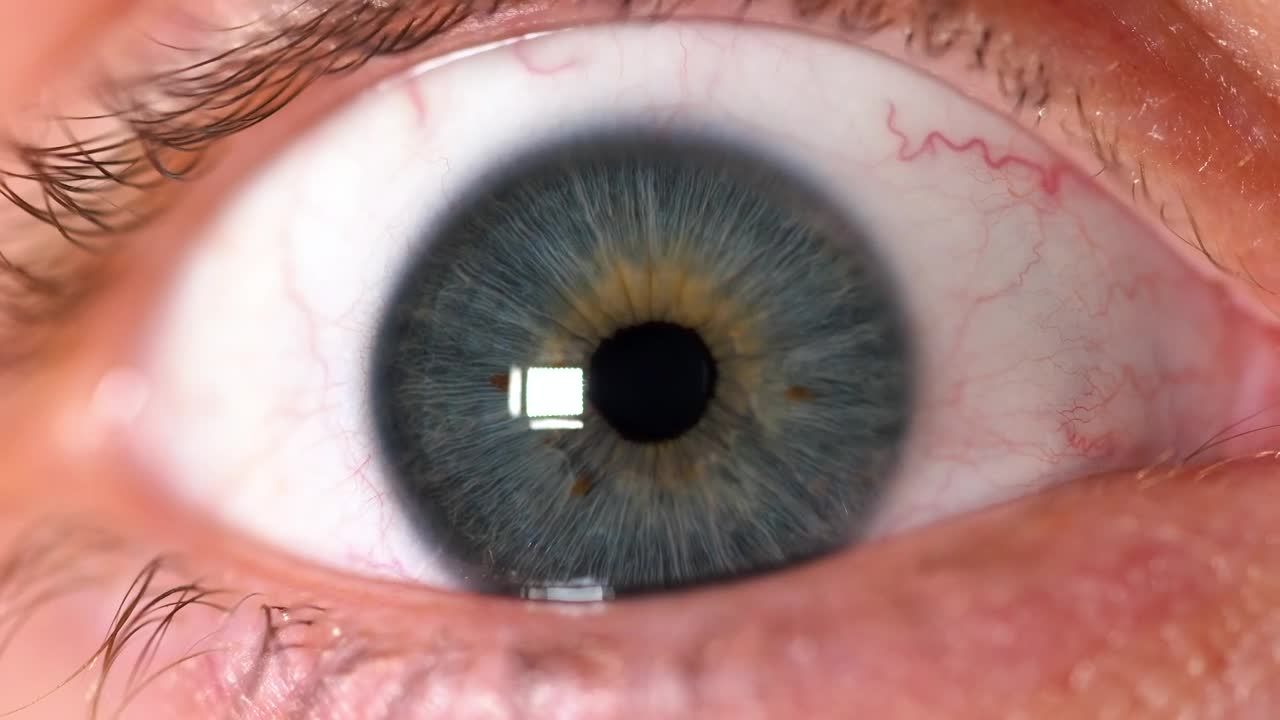 Stock Video Human Eye Focusing In Animated Wallpaper - Free Download