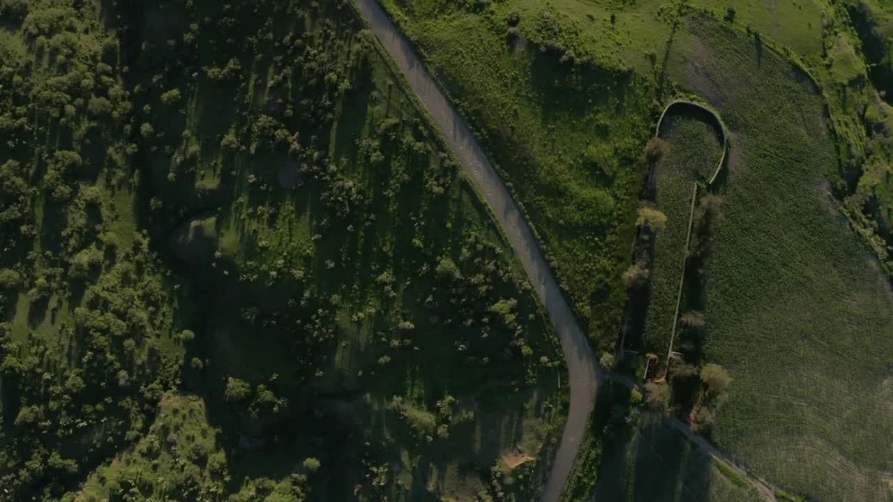Stock Video Path That Crosses A Meadow Aerial Shot Live Wallpaper - Free Download