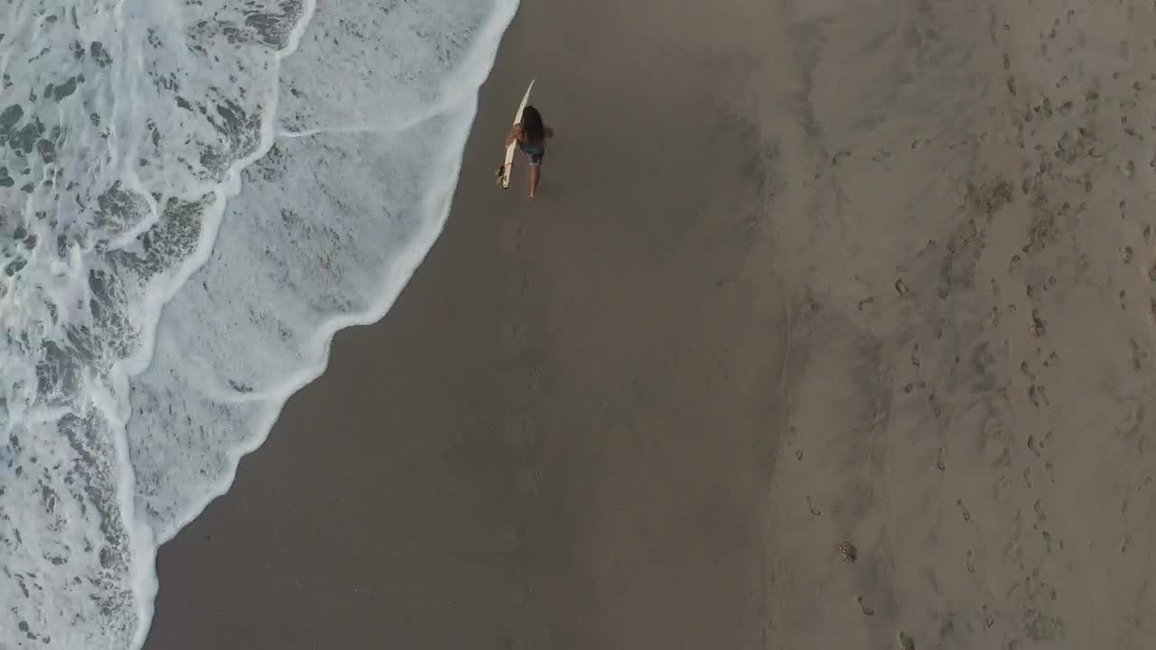 Free Video Stock surfer carrying his board along the beach Live Wallpaper - Free Download