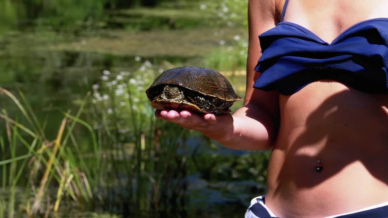 Stock Video Little Girl Shows A Turtle To The Camera Animated Wallpaper - Free Download