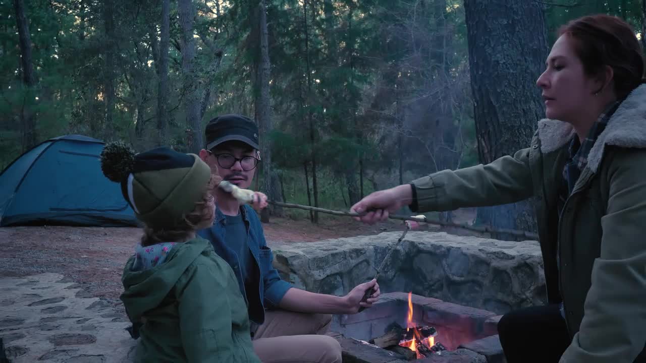 Stock Video Family In A Camp In The Woods Live Wallpaper For PC - Free Download