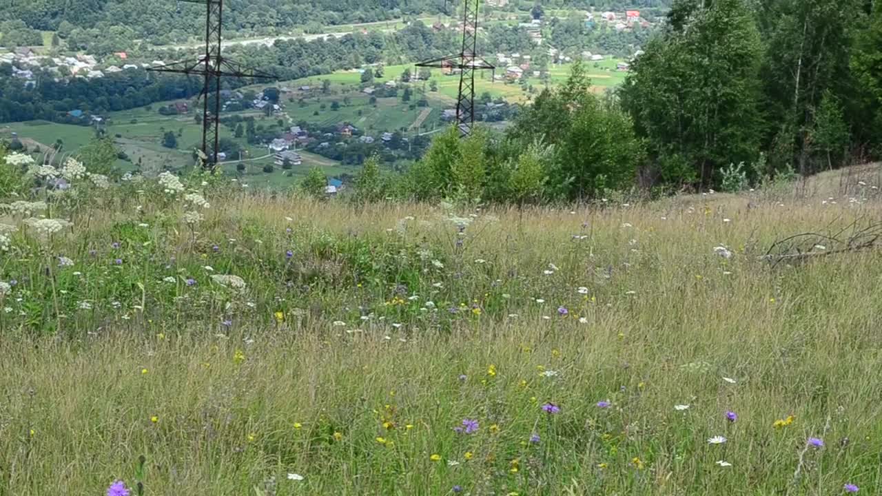 Stock Video Electrical Wiring Towers In The Countryside Live Wallpaper For PC - Free Download