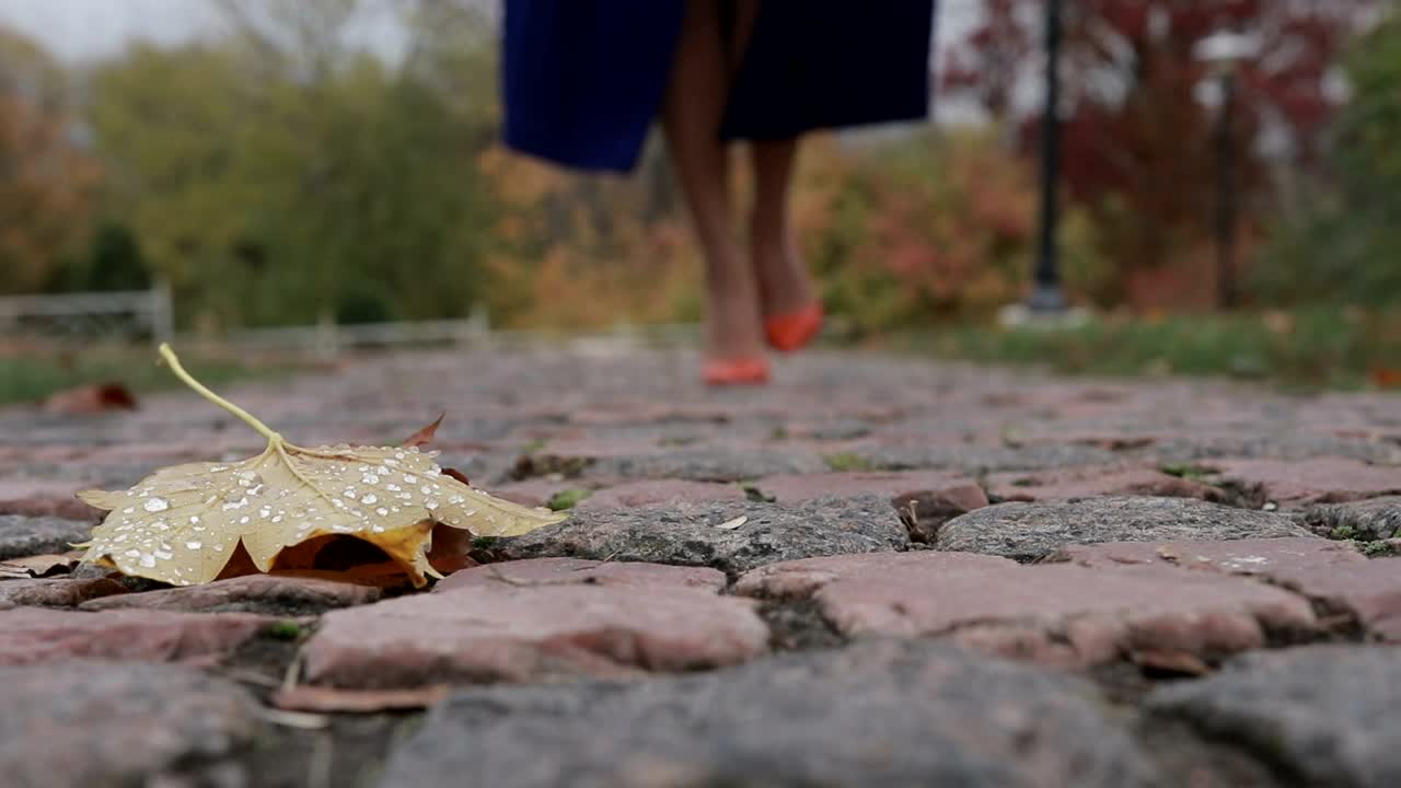 Stock Video Leaf On The Ground In A Park A Woman Walks Animated Wallpaper - Free Download