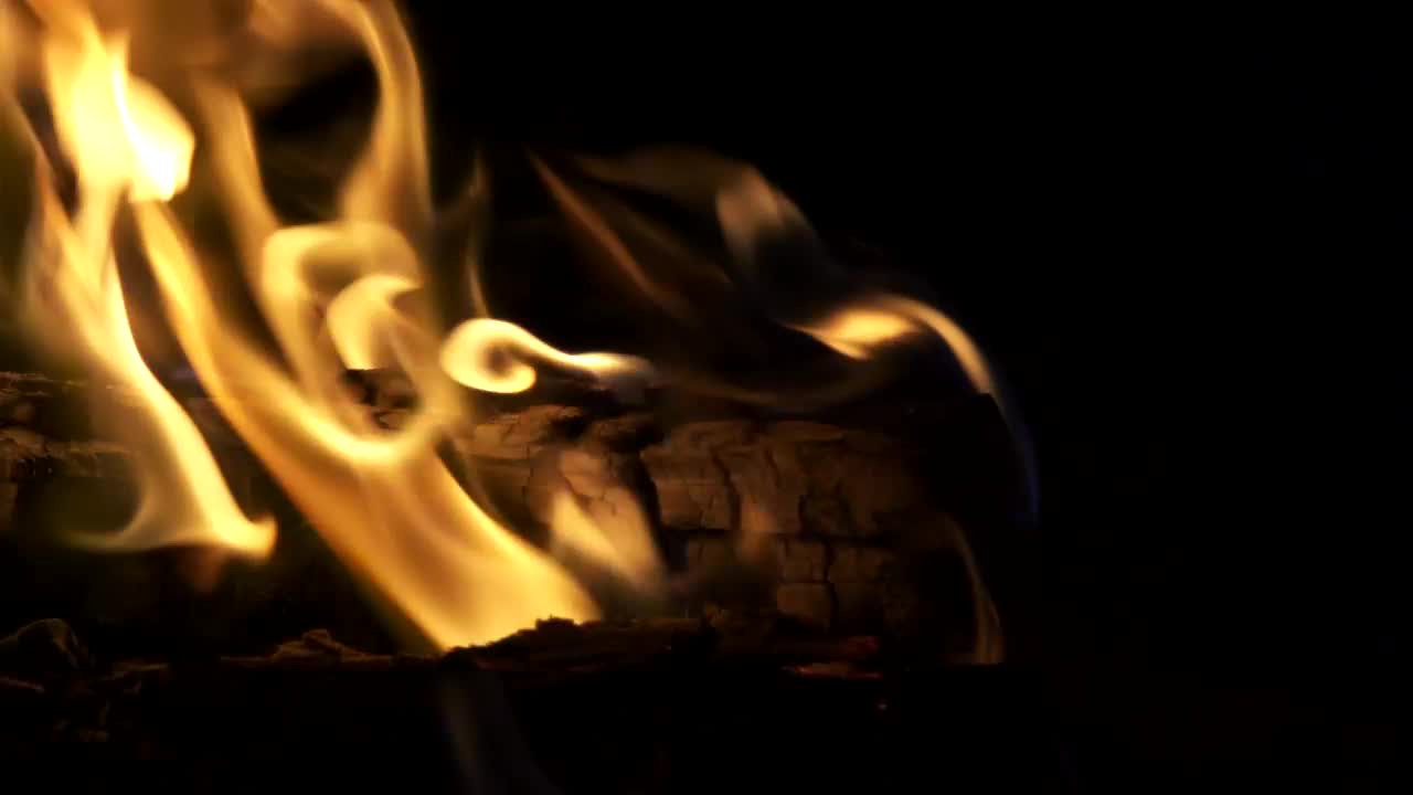 Stock Video Log Fire Burning At Night Animated Wallpaper - Free Download