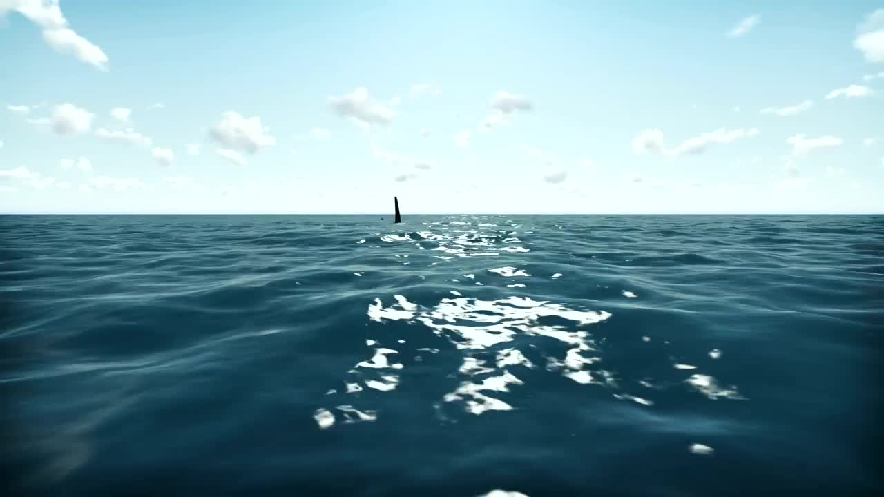 Free Stock Video Shark In The Ocean D Animation Live Wallpaper - Free Download