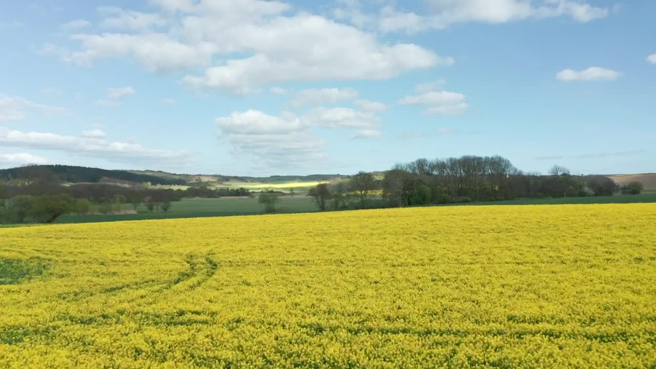 Free Video Stock Summer Fields Live Wallpaper - Free Download