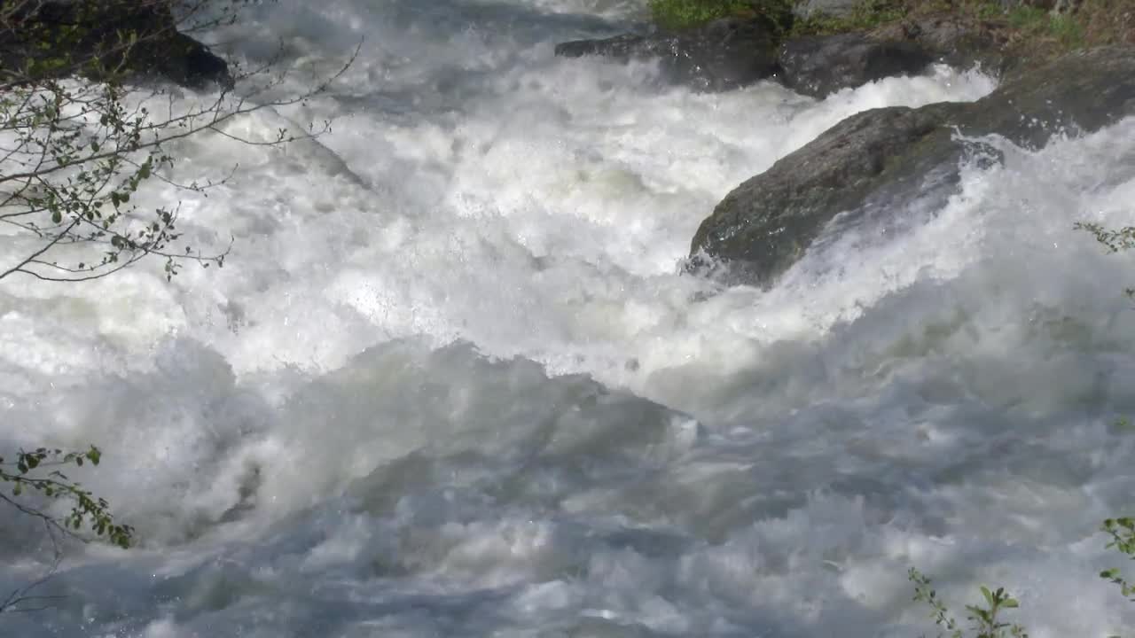 Stock Footage Wild River Rapids Live Wallpaper - Free Download