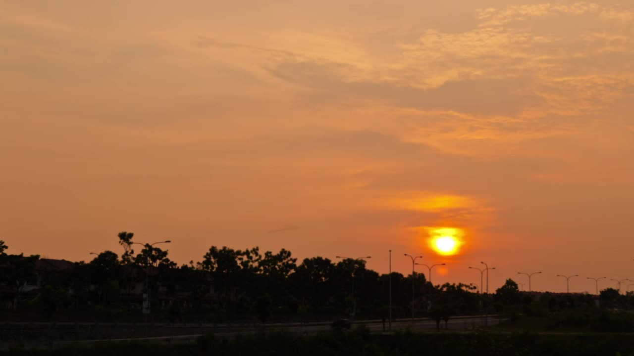 Free Video Stock Sun Setting Behind A Row Of Trees Live Wallpaper - Free Download