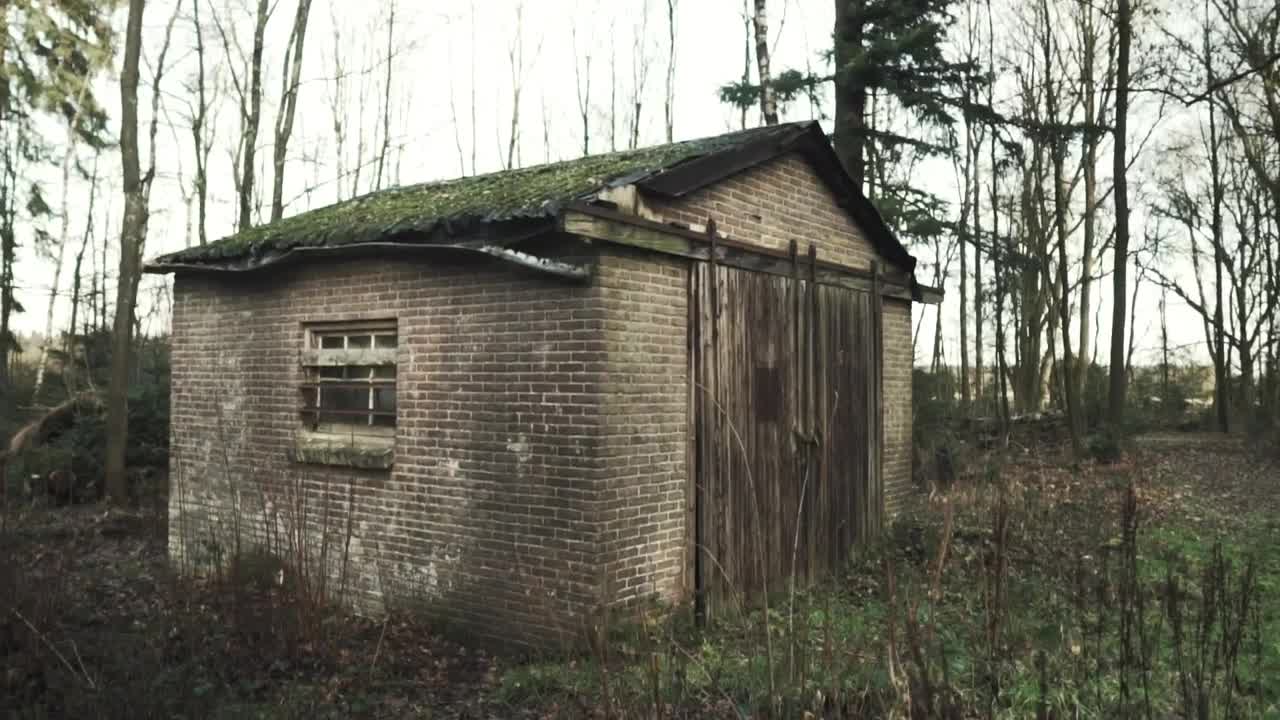 Stock Video Old Shed In The Forest Live Wallpaper - Free Download
