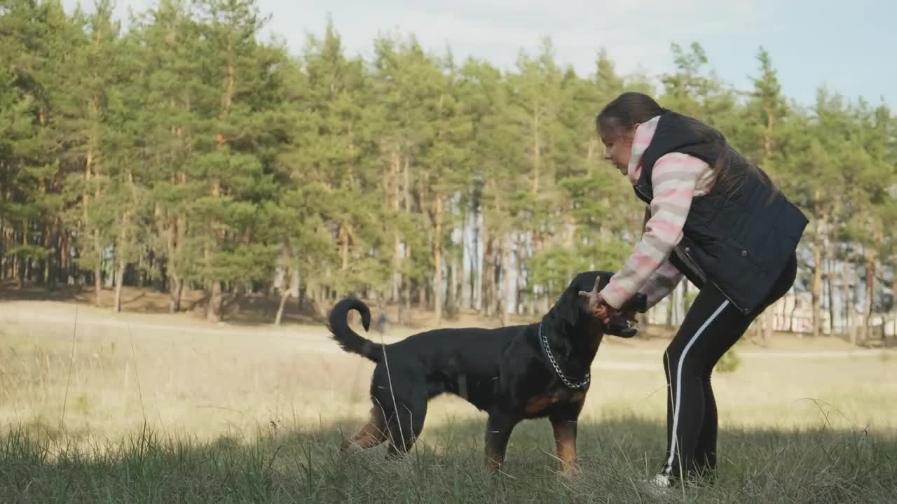 Stock Video Girl Playing With Her Dog On The Meadow Live Wallpaper For PC - Free Download