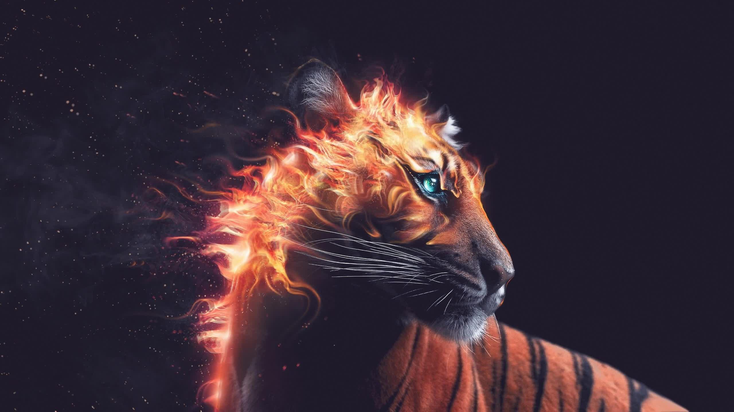 Enchanted  Burning  Tiger  2560x1440  Live  Wallpaper - Free Download