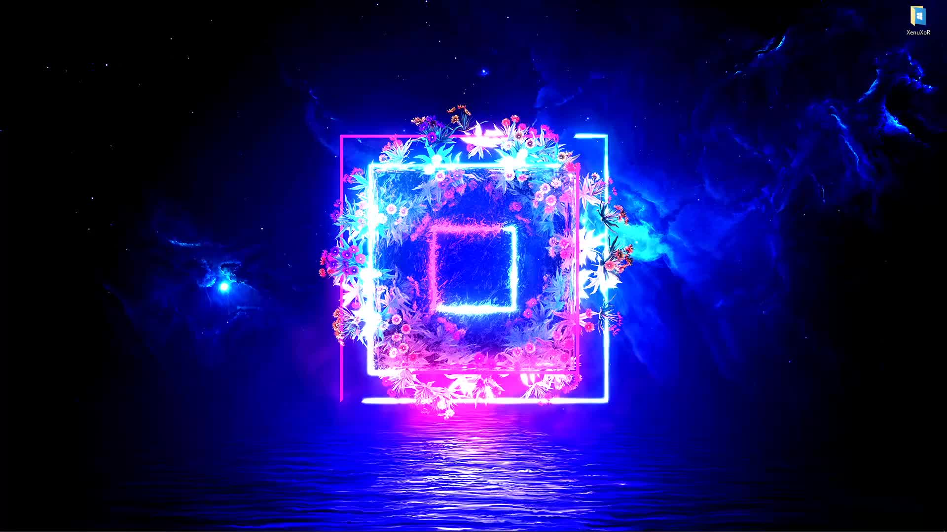 Neon Flowers Animation Live Wallpaper - Free Download