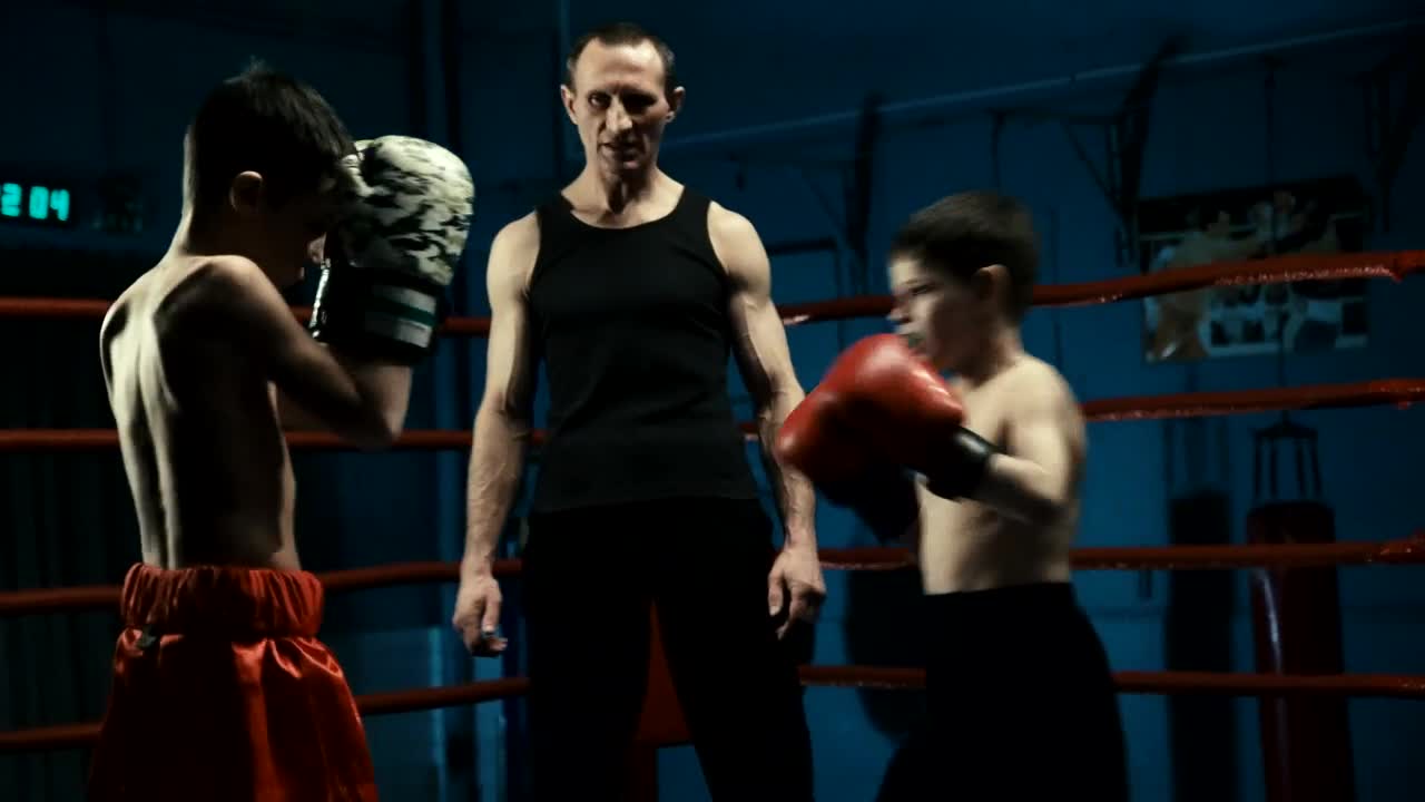 Stock Video Kids Training Boxing In The Gym Animated Wallpaper - Free Download