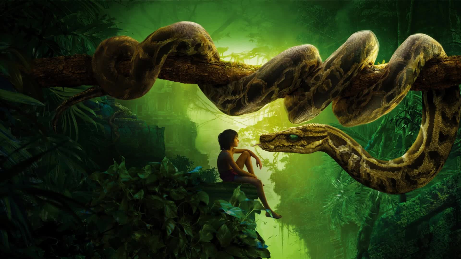 Jungle  Book  Mowgli  Kaa  Snake  Live  Wallpaper - Free Download