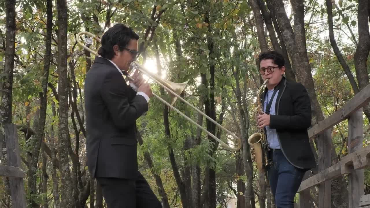 Stock Video Musicians Playing Wind Instruments In The Forest Live Wallpaper - Free Download