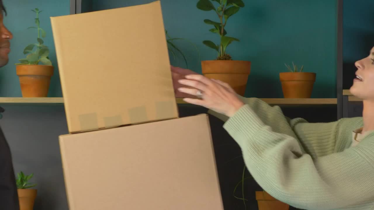 Stock Video Couple Arranging Moving Boxes Live Wallpaper For PC - Free Download