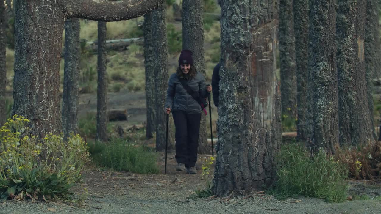 Free Stock Video Wedding Couple Hiking In The Forest Live Wallpaper - Free Download