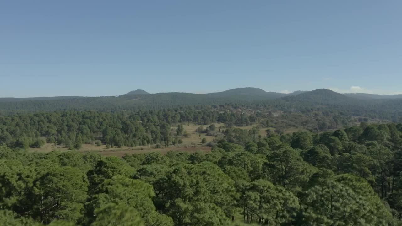 Free Stock Video Warm Natural Environment From Above On A Sunny Day Live Wallpaper - Free Download