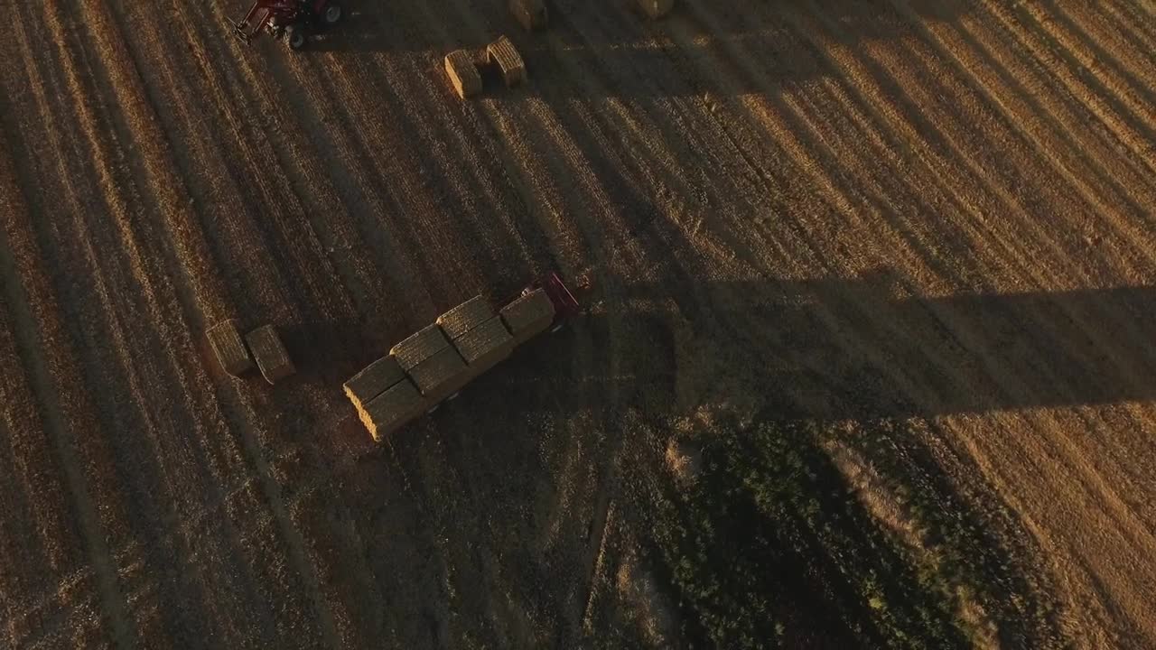 Free Video Stock tractor loading hay bales Live Wallpaper - Free Download