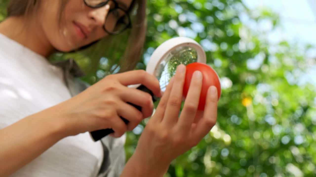 Free Stock Video Young Woman Looks At A Tomato Through A Magnifying Glass Live Wallpaper - Free Download