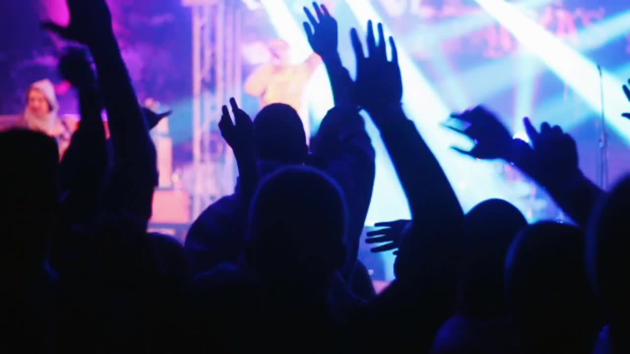 Stock Video Concert Crowd Jumping And Cheering Live Wallpaper For PC - Free Download