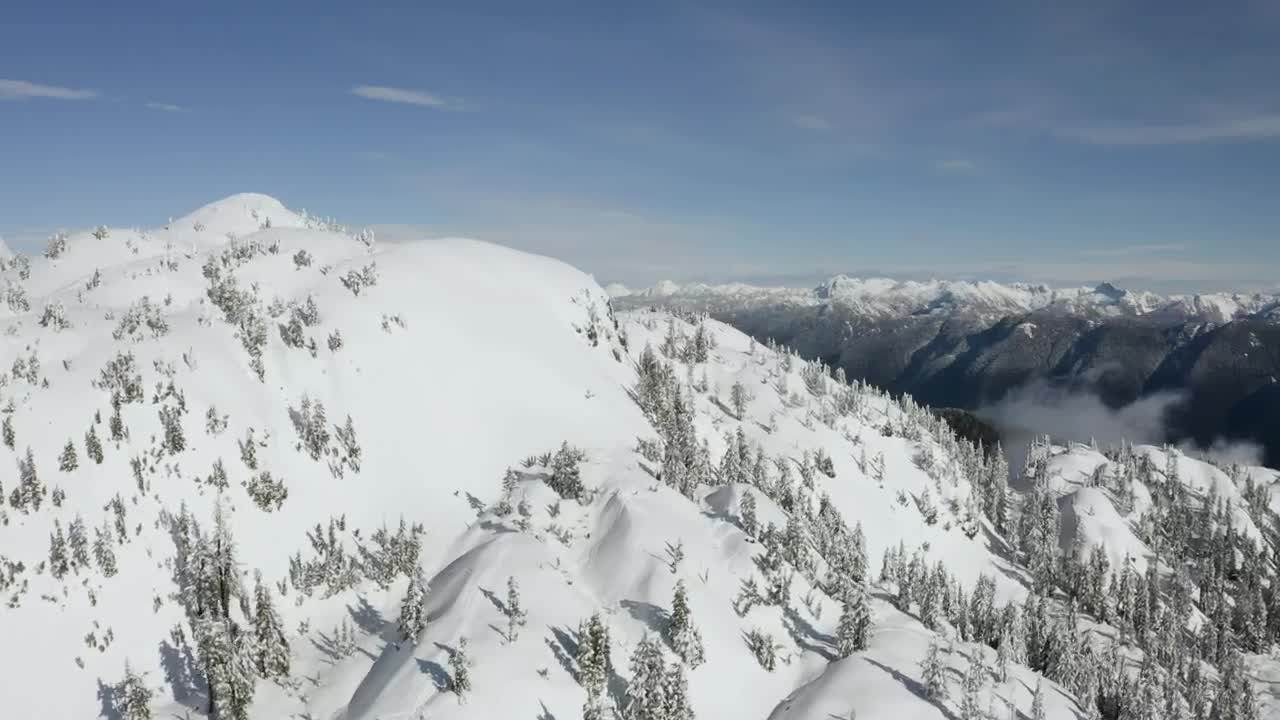 Free Video Stock top of a hill covered with snow and pines Live Wallpaper - Free Download