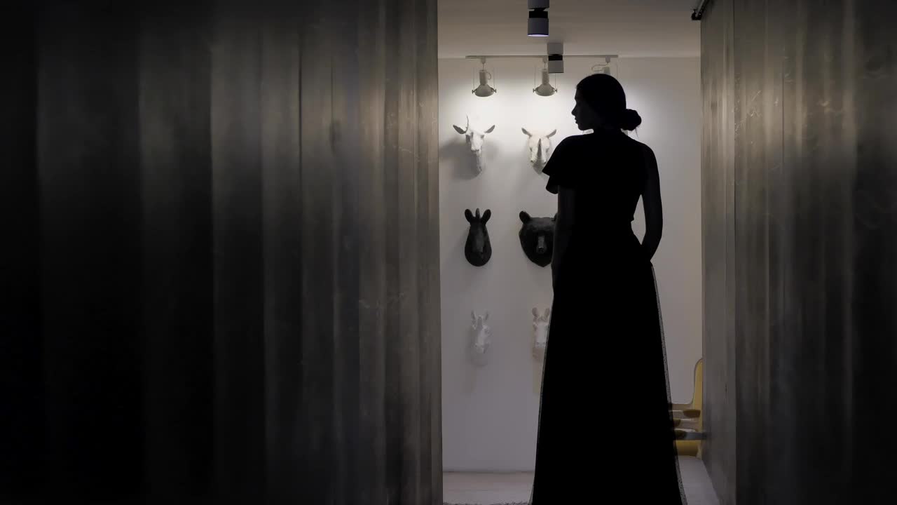 Stock Video Female Silhouette In Long Dress Live Wallpaper For PC - Free Download