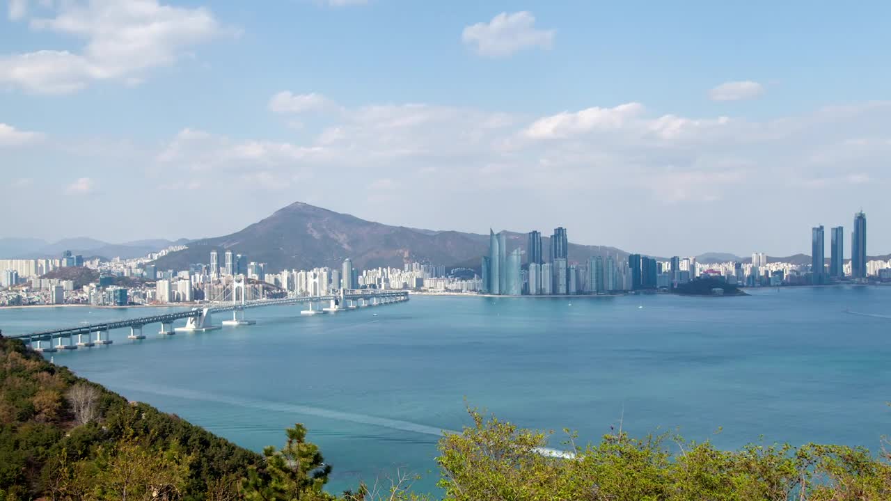 Free Video Stock the ocean and busan city in the background Live Wallpaper - Free Download