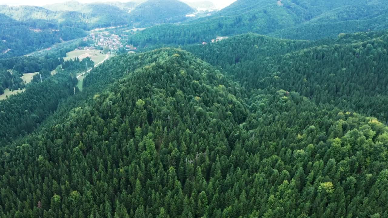 Stock Video Mountains Covered In Thick Forests Live Wallpaper - Free Download