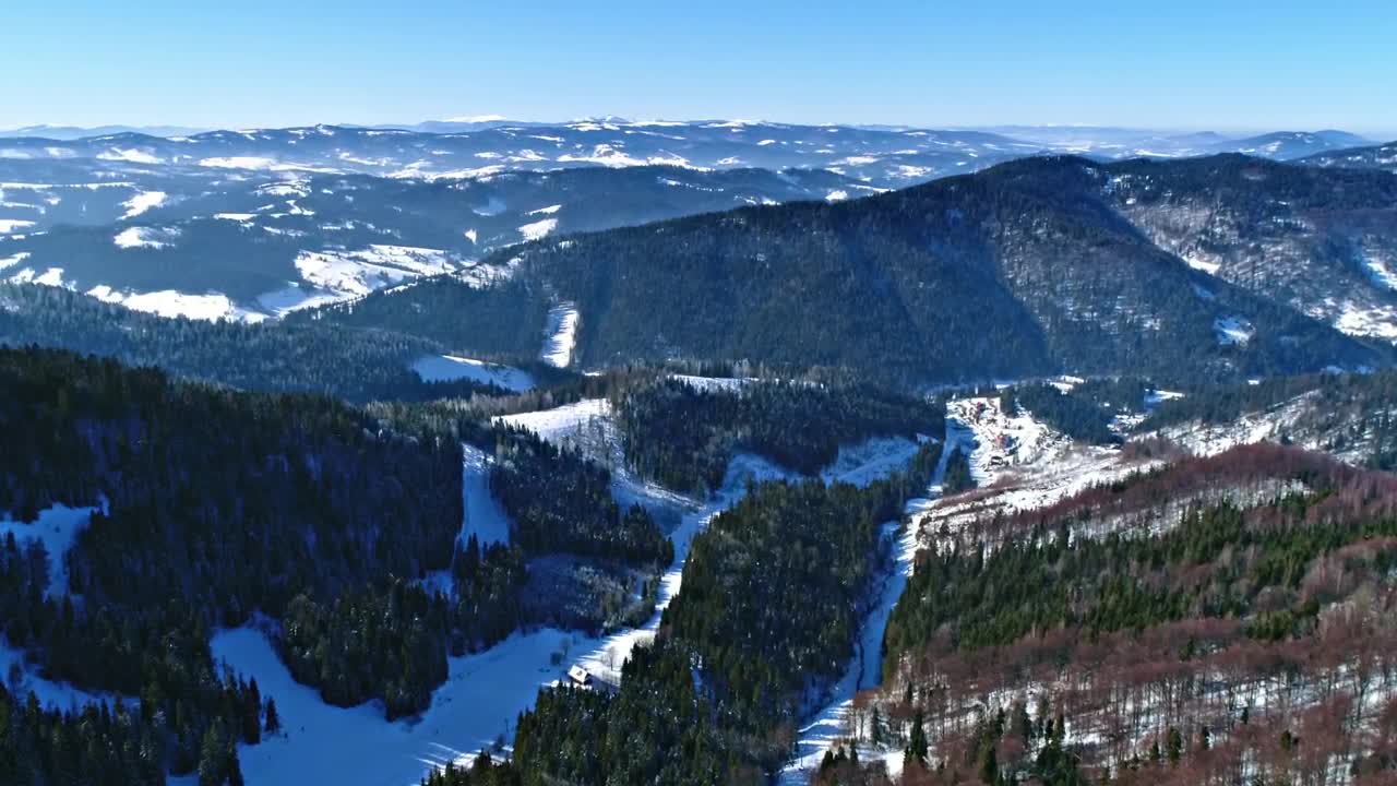 Video Stock Pine Forests In Snowy Mountains Aerial Landscape Live Wallpaper Free - Free Download