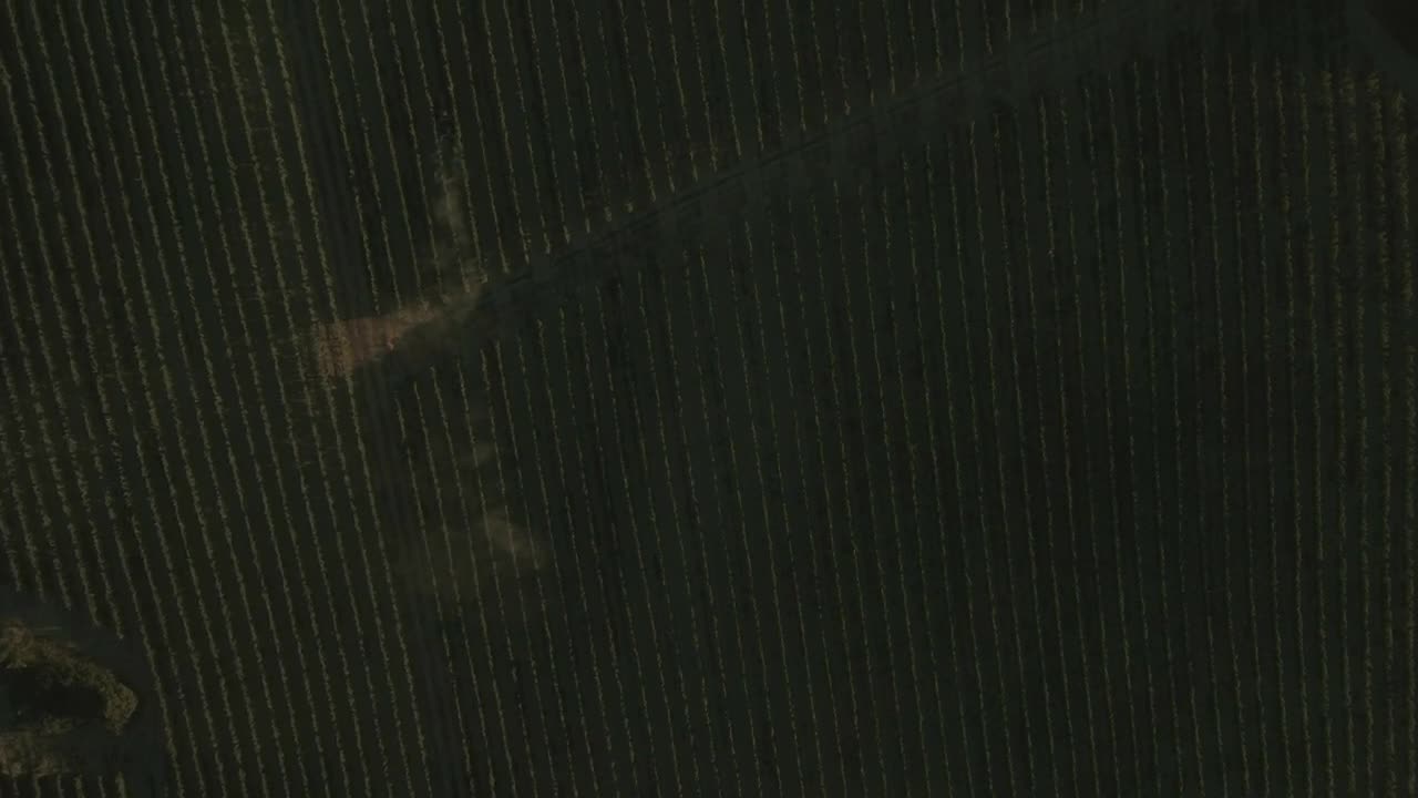 Free Video Stock tractor working in a dusty field Live Wallpaper - Free Download