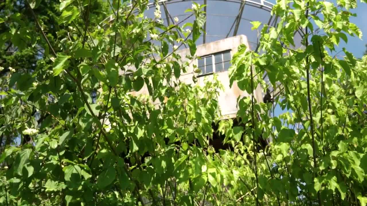 Stock Video Large Abandoned And Dilapidated Antenna Animated Wallpaper - Free Download