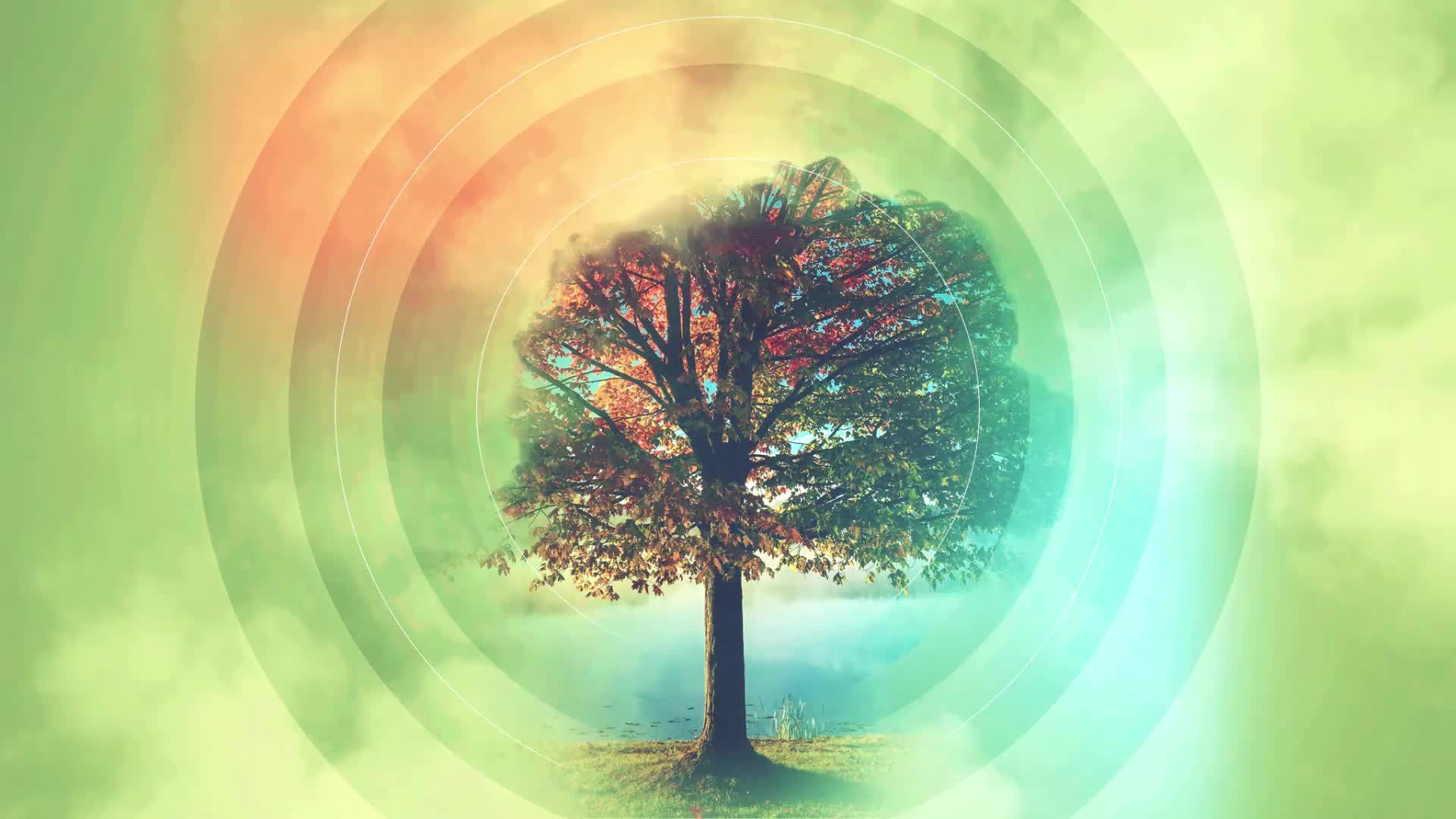 Abstract Magic Tree - Free Download