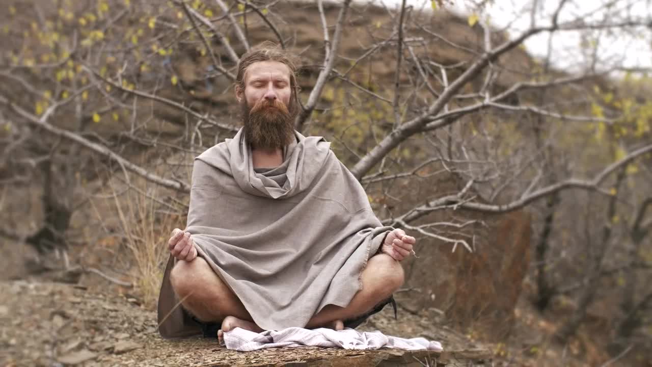 Stock Video Long Beard Man Meditating In The Forest Animated Wallpaper - Free Download