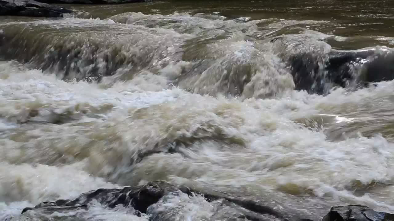 Stock Video Dangerous River Flowing Quickly Live Wallpaper For PC - Free Download
