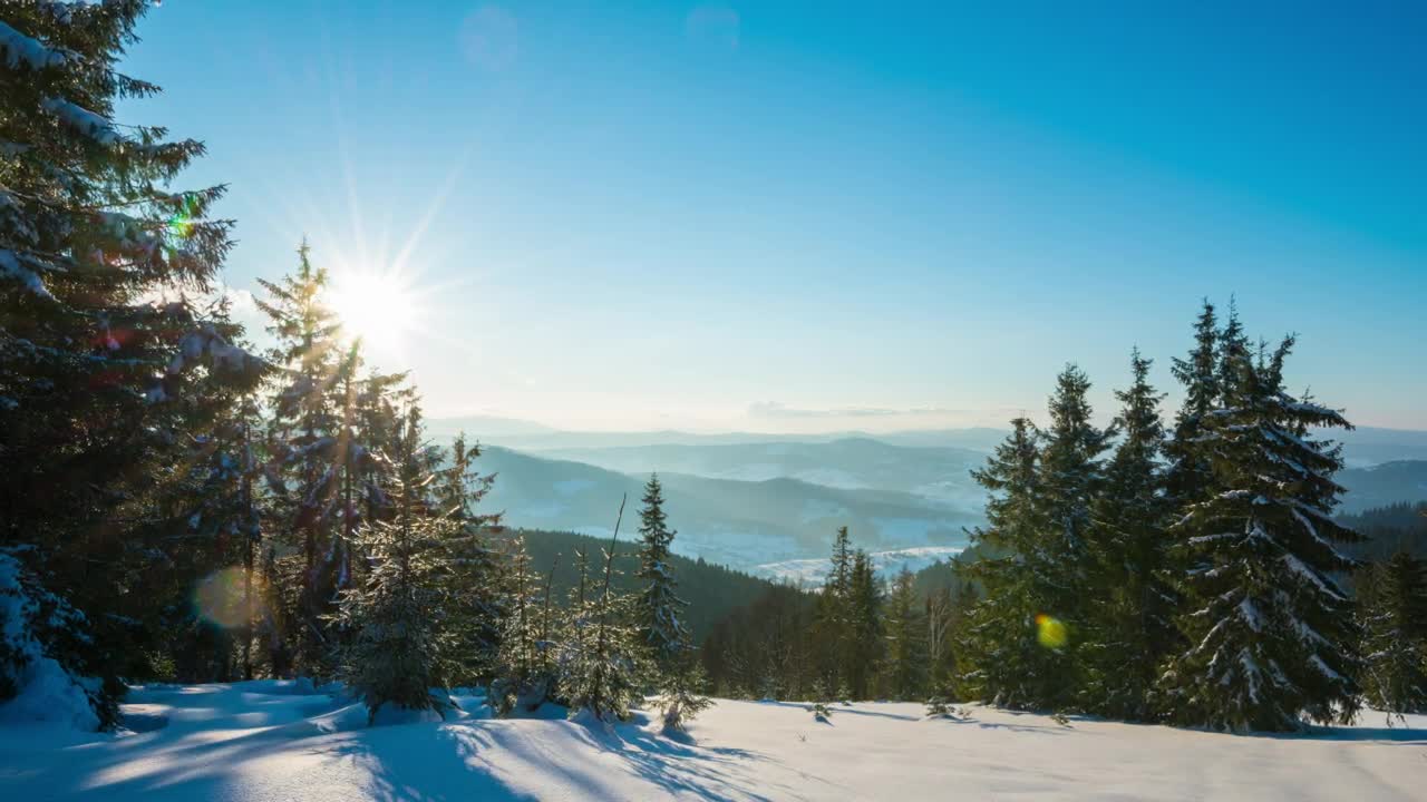 Stock Video Flora On A Snowy Mountain At Sunset Live Wallpaper For PC - Free Download
