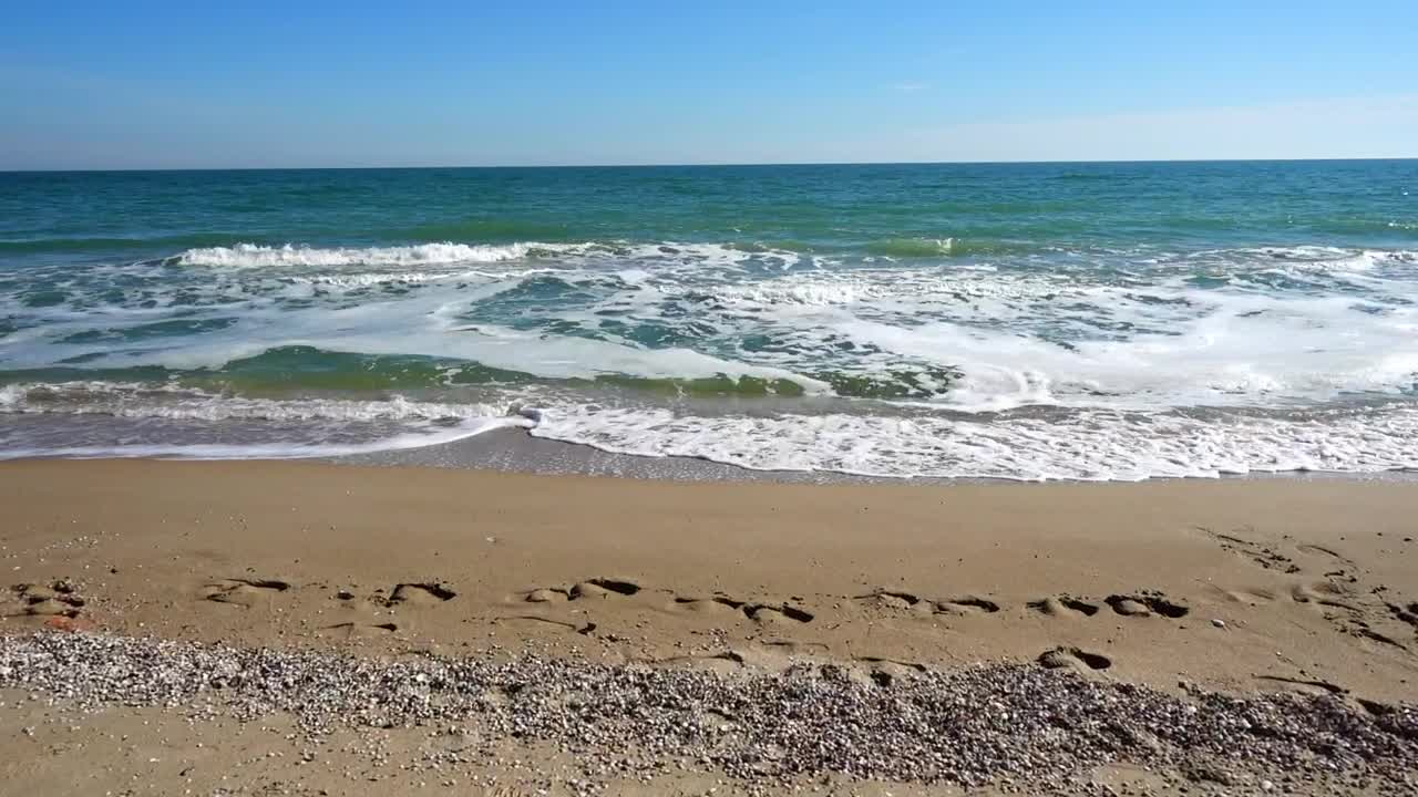 Stock Video Footprints Along The Shore Live Wallpaper For PC - Free Download