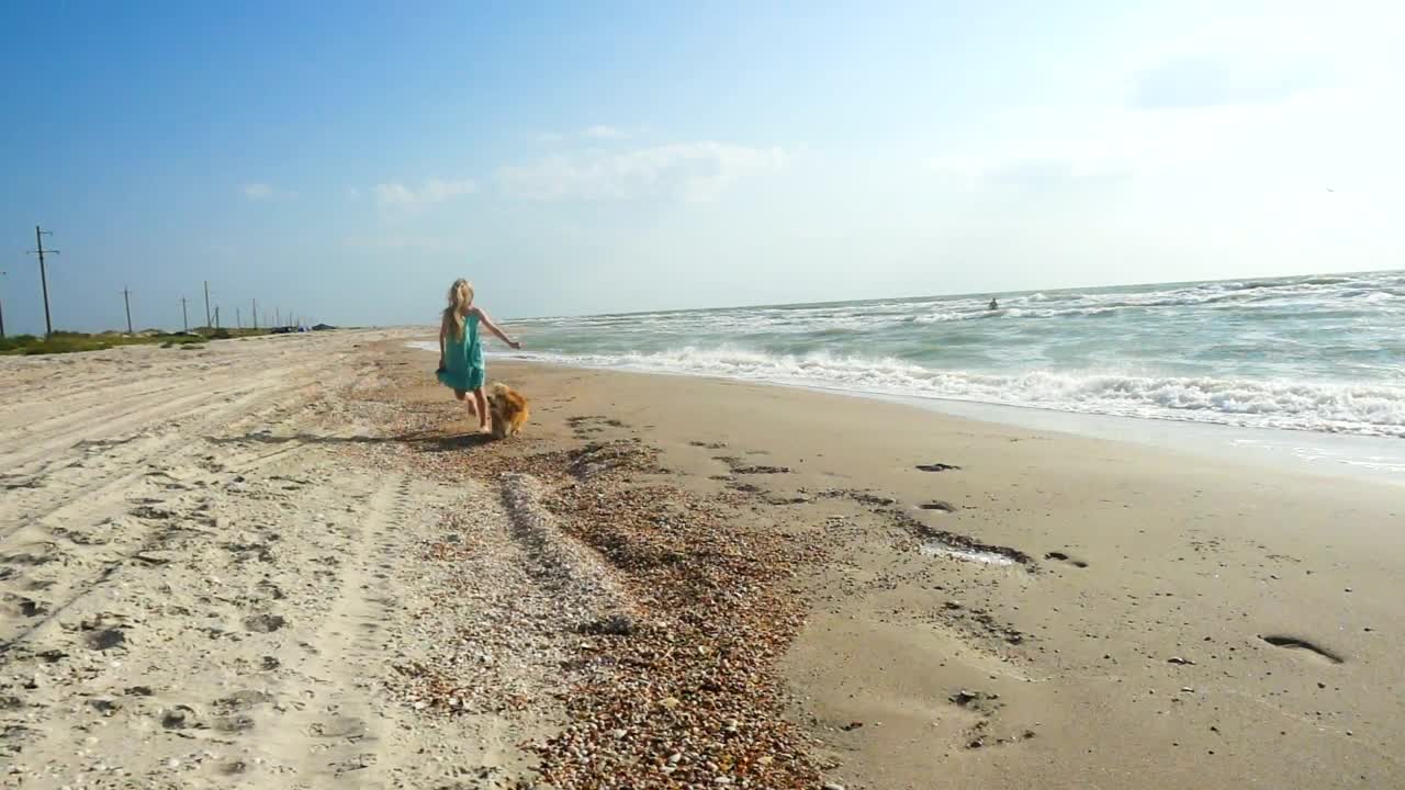Stock Video Girl Running In The Beach With Her Dog Live Wallpaper For PC - Free Download