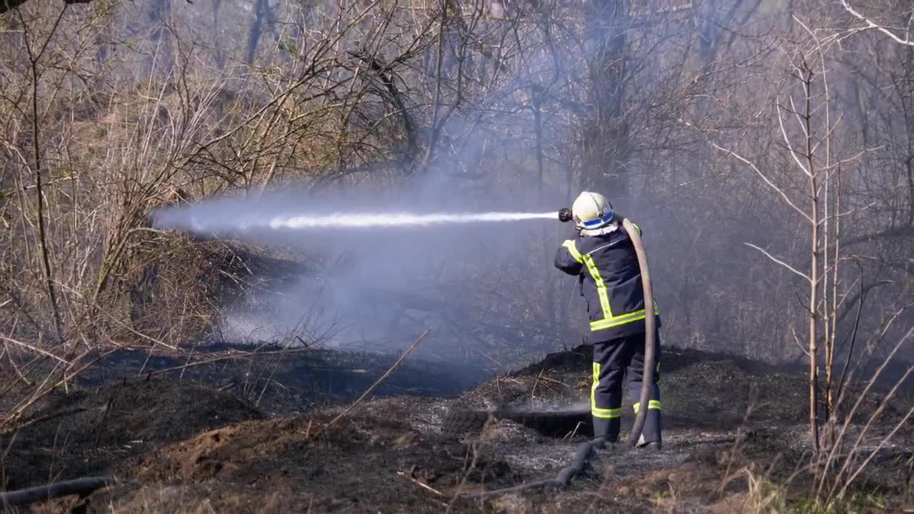 Stock Video Fire Fighter With Water Hose Live Wallpaper For PC - Free Download