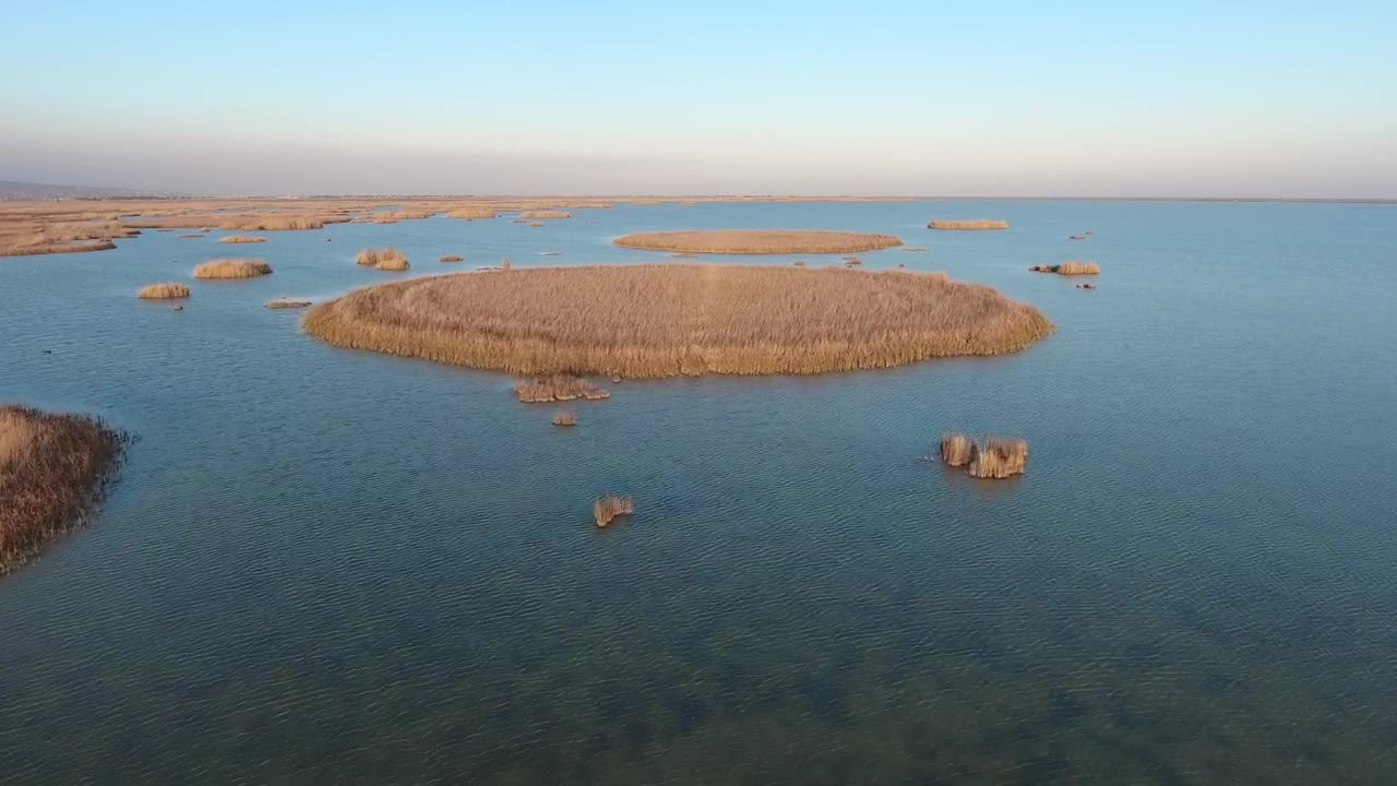 Stock Video Islands Of Reed Scattered In The Ocean Animated Wallpaper - Free Download
