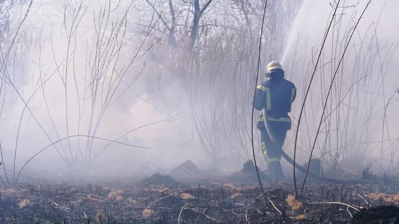 Free Stock Video Two Firefighters Distinguishing Forest Fire Live Wallpaper - Free Download