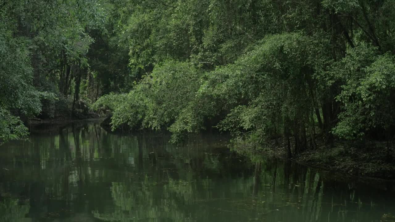 Stock Video Empty Boat On A River In Vietnam Live Wallpaper For PC - Free Download