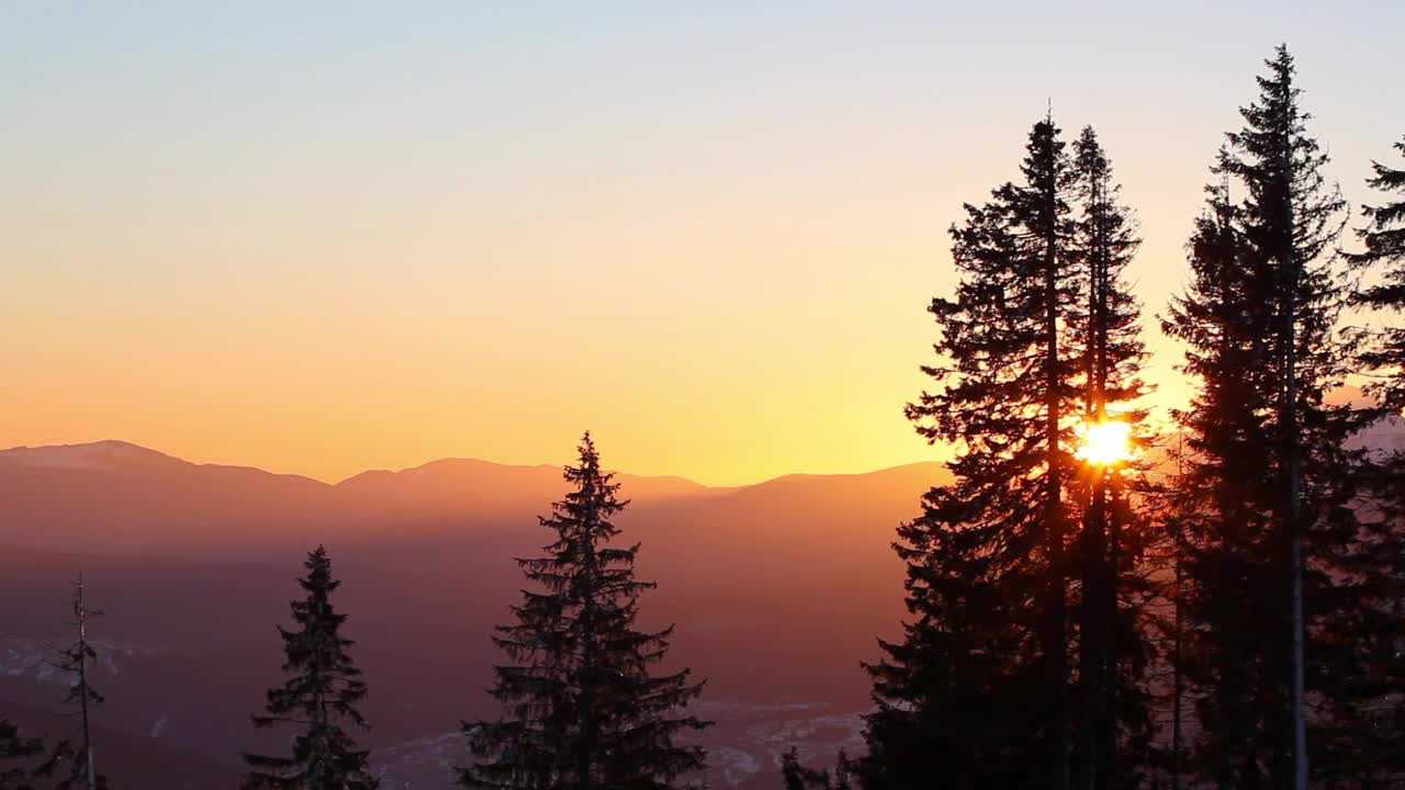Free Video Stock Sun Rising In The Skyline In The Forest Live Wallpaper - Free Download