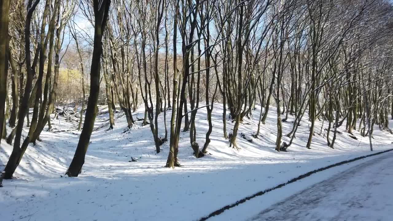 Stock Video Melting Snow By The Roa Animated Wallpaper - Free Download