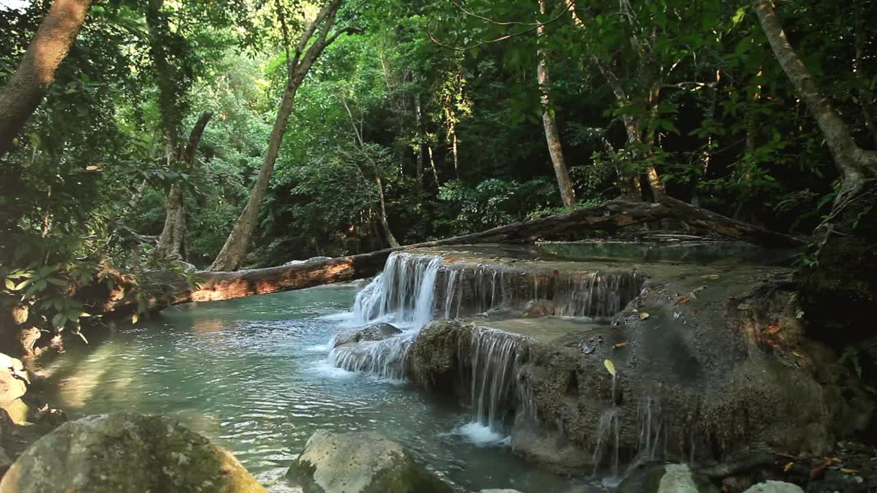 Free Stock Video Shallow Waterfall Hidden By Woodland Live Wallpaper - Free Download