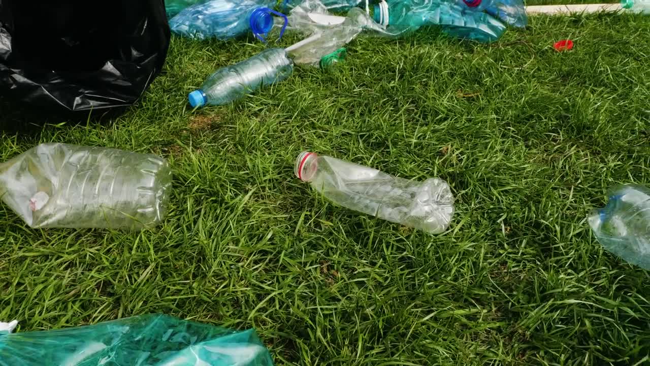 Video Stock Cleaning The Park Grass From Plastic Waste Live Wallpaper For PC - Free Download